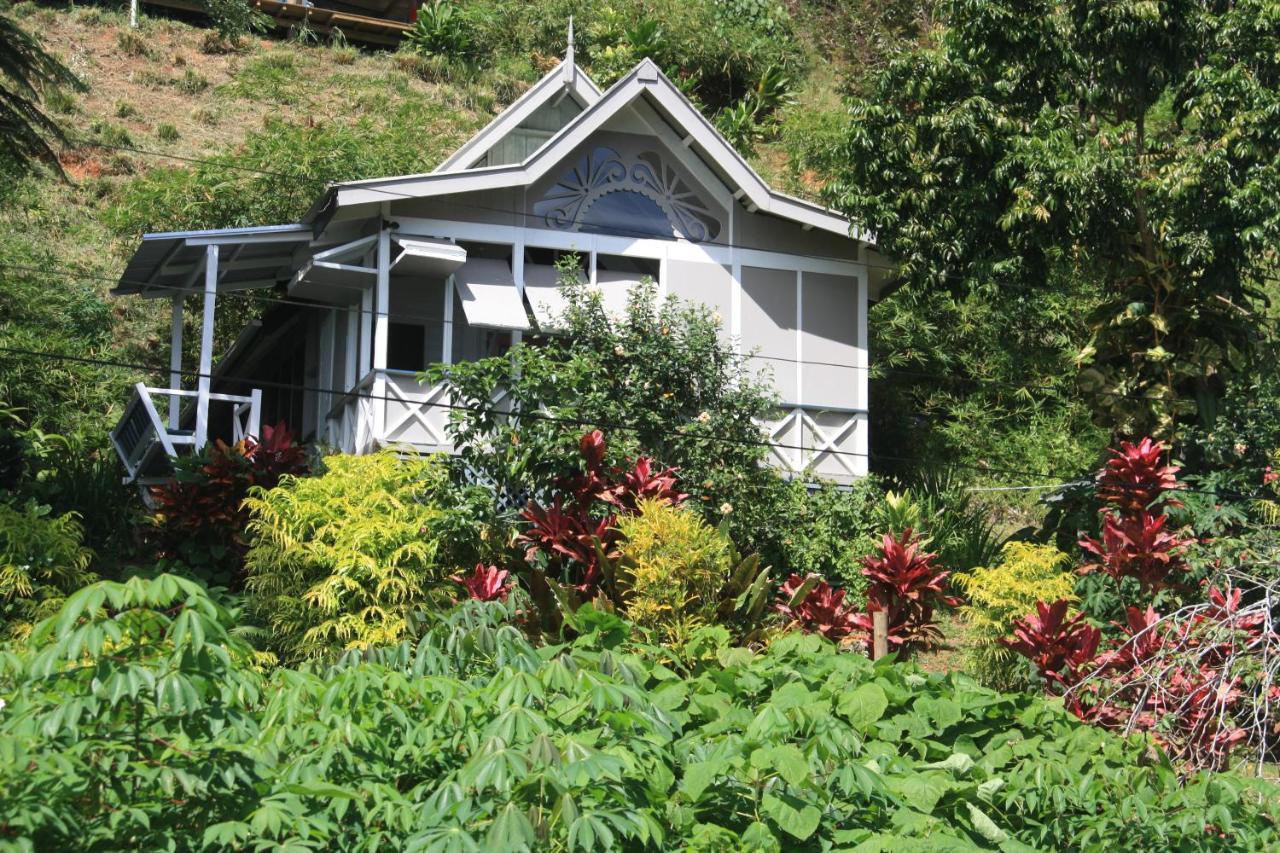 Gingerbread Cottage And Studio Fiji Savusavu Eksteriør billede
